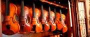 Amati Violin Shop