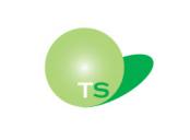 TSコンサルティング・インターナショナル - TS Consulting International