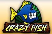 Crazy Fish - Crazy Fish