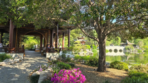 The Huntington Library, Art Museum, and Botanical Gardens