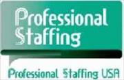 Professional Staffing