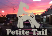 Petite Tail Dog Grooming Salon - Petite Tail Dog Grooming Salon