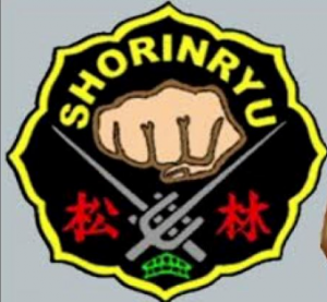 琉球空手、古武道教室 - Shorin-Ryukyukarate & Kobudo Association