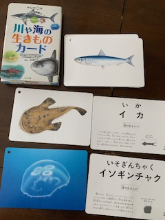 ロサンゼルスタウン - クラシファイド[川や海の生きものカード]