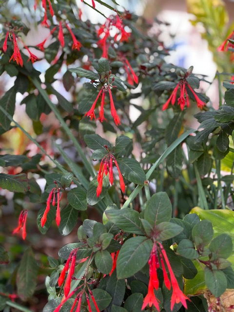 Hxxntunphw0pvm Hxxntunphw0pvm