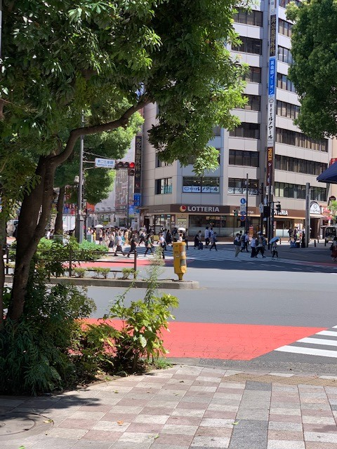 アメリカ看護留学 東京